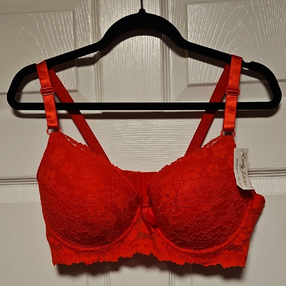 Emily Johnson Red Lace Bra